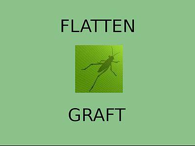 Flatten x Graft